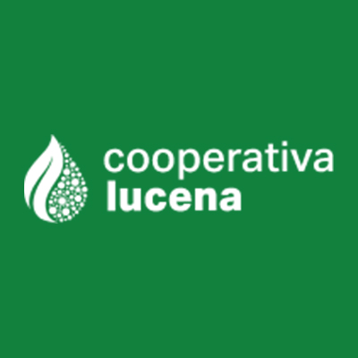 Aceitunas Rellenas de Anchoa 300grs DCOOP (12 uds) - Cooperativa Lucena