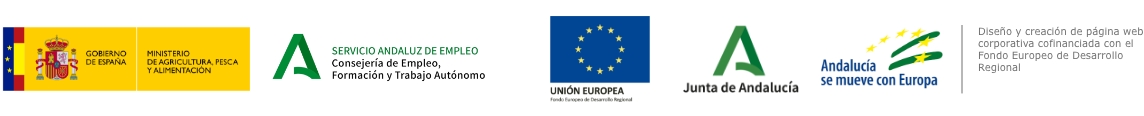 Diseño y creación de página web corporativa cofinanciada con el Fondo Europeo de Desarrollo Regional