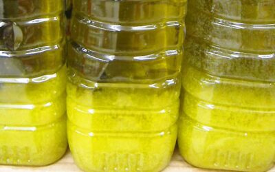 ¿Qué pasa si se congela el aceite de oliva? Te lo explicamos aquí