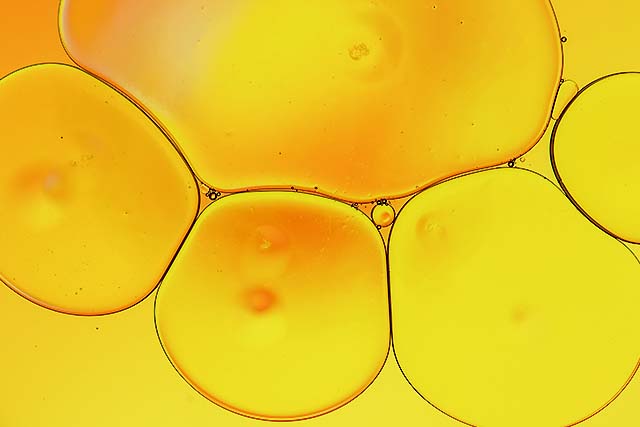 aceite de oliva visto de cerca con microscopio