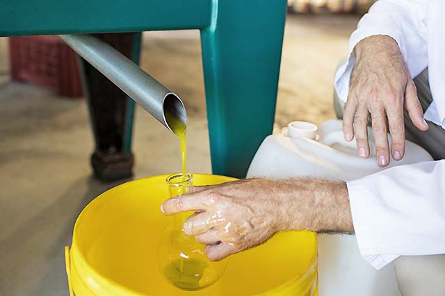 operario recogiendo una muestra de aceite de oliva del molino