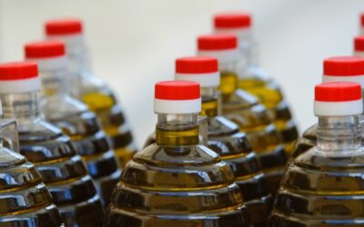 Cómo Conservar correctamente el Aceite de Oliva