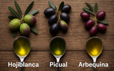 Comparativa de variedades en campaña: Hojiblanca frente a otras variedades en condiciones de campaña