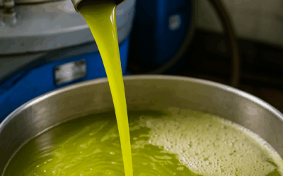 Del campo a la botella: el proceso de molturación en campaña y su impacto sensorial